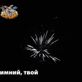Фейерверк Яркий, зимний, твой 49 х 1,25 - Салюты и фейерверки на 49 залпов купить в Сургуте